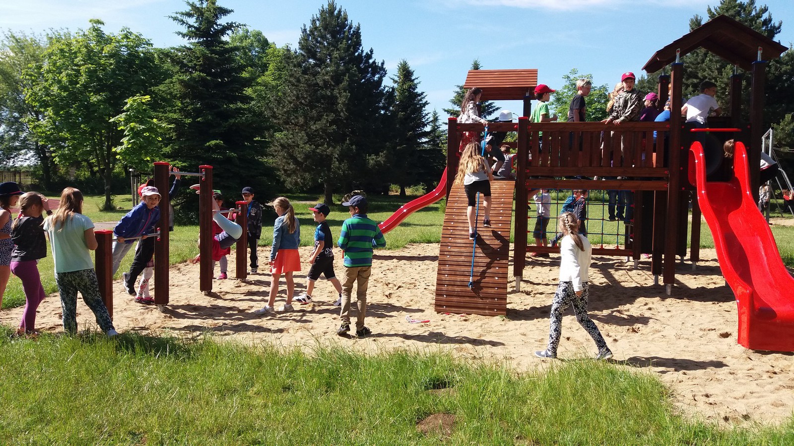 20170608_094711[1].jpg